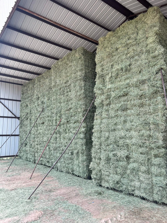 Hay (1 bale)